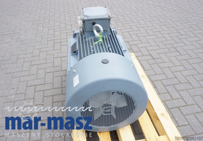Electric motor AlphaOne OMT-1 280MY2 132 KW