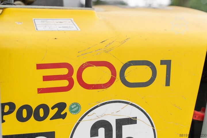 Muldenfahrzeug Wacker Neuson 3001