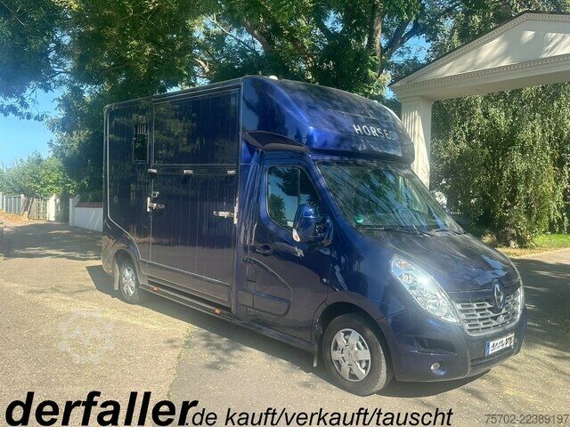 Van Renault Master Roelofsen 1-2 Pferde Hengsttrennung