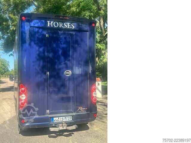 Van Renault Master Roelofsen 1-2 Pferde Hengsttrennung