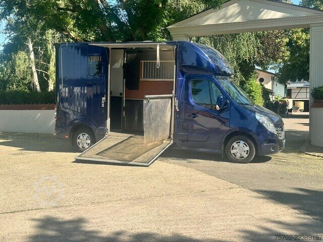 Van Renault Master Roelofsen 1-2 Pferde Hengsttrennung
