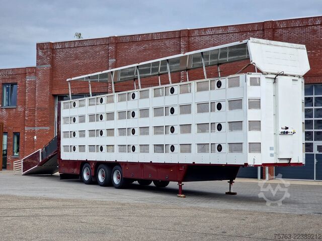 Cattle transport CUPPERS 4 stock - new TUV - type 2 - lifting floors - l...