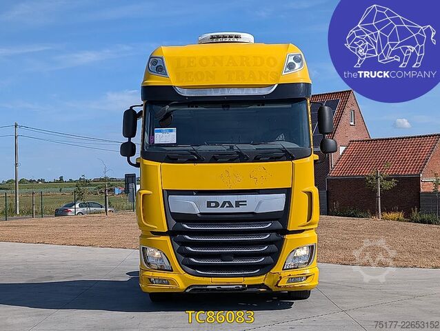 Standard-SZM DAF XF 480