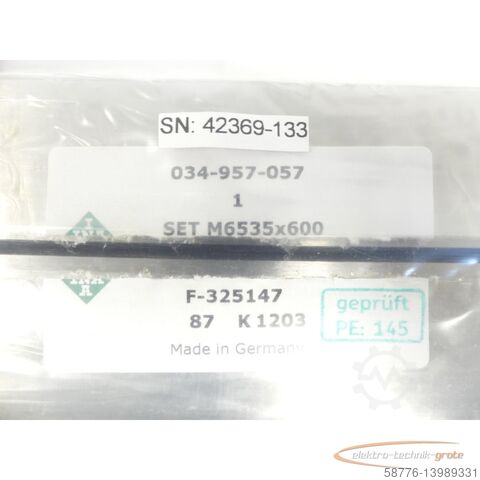 Component INA x M- + V-Schiene + Nadelkäfig SN 42369-133 M6535x600 - ungebr.