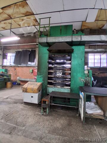 Hydraulische Presse für Gummi und EVA-Schaum TERNZIO "G" MATRICOLA - N