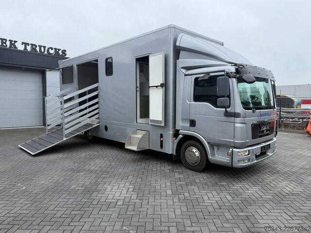 Horse transportation MAN | Horse Truck | Year: 2011 | KM: 312.257 | 5 Ho...
