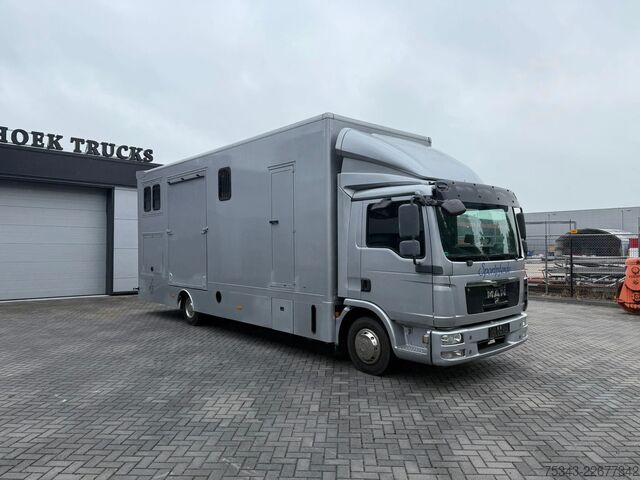 Horse transportation MAN | Horse Truck | Year: 2011 | KM: 312.257 | 5 Ho...