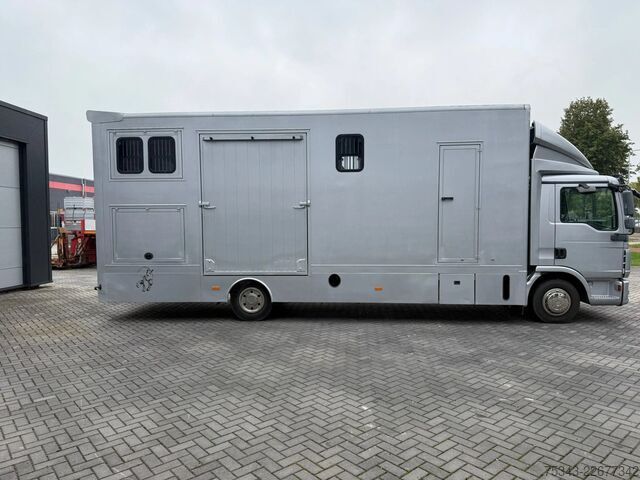 Horse transportation MAN | Horse Truck | Year: 2011 | KM: 312.257 | 5 Ho...