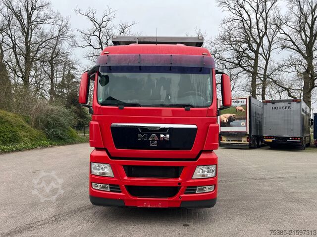 Viehtransport MAN TGX 26.440 6x2/4 Menke Livestock Veewagen Gross...
