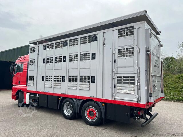 Viehtransport MAN TGX 26.440 6x2/4 Menke Livestock Veewagen Gross...