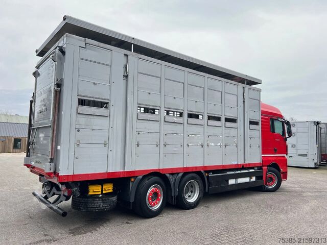 Viehtransport MAN TGX 26.440 6x2/4 Menke Livestock Veewagen Gross...