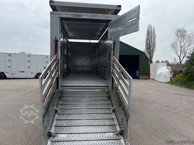 Viehtransport MAN TGX 26.440 6x2/4 Menke Livestock Veewagen Gross...
