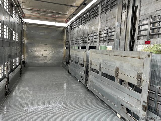 Viehtransport MAN TGX 26.440 6x2/4 Menke Livestock Veewagen Gross...