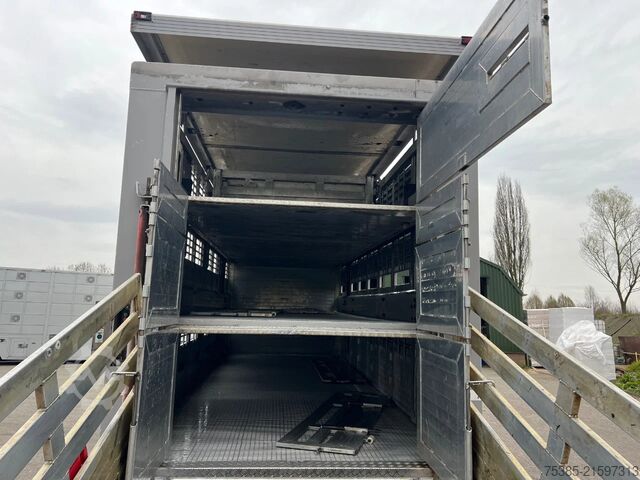 Viehtransport MAN TGX 26.440 6x2/4 Menke Livestock Veewagen Gross...
