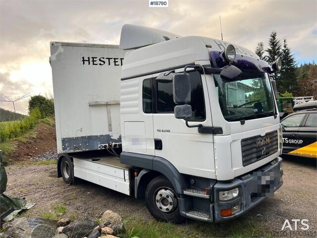 Standard tractor MAN TGL 8.240
