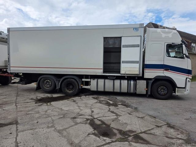 Refrigerated truck VOLVO FH 480 Kühler mit Kühlanhänger, LBW+Türen