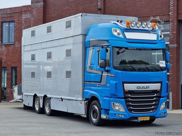 Viehtransport DAF XF 510 6x2 SuperSpaceCab - Livestock Cuppers 3 ...