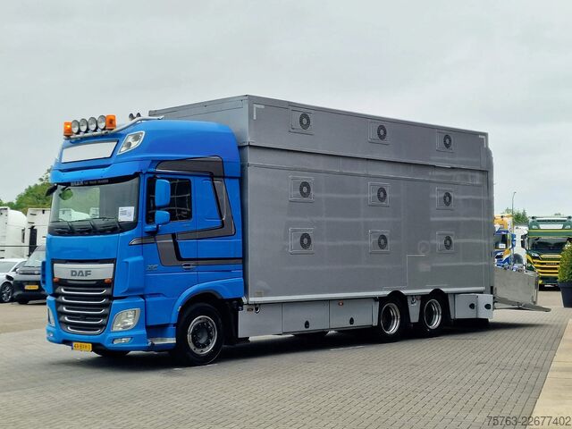 Viehtransport DAF XF 510 6x2 SuperSpaceCab - Livestock Cuppers 3 ...