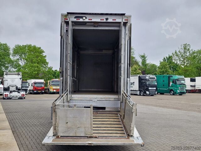 Viehtransport DAF XF 510 6x2 SuperSpaceCab - Livestock Cuppers 3 ...