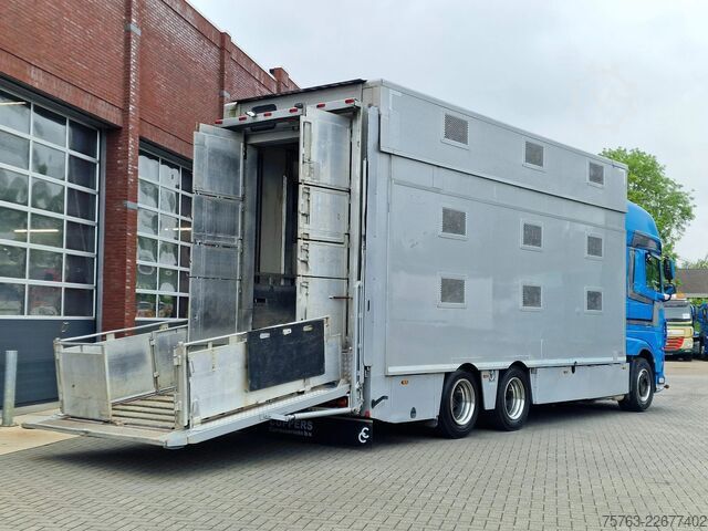 Viehtransport DAF XF 510 6x2 SuperSpaceCab - Livestock Cuppers 3 ...