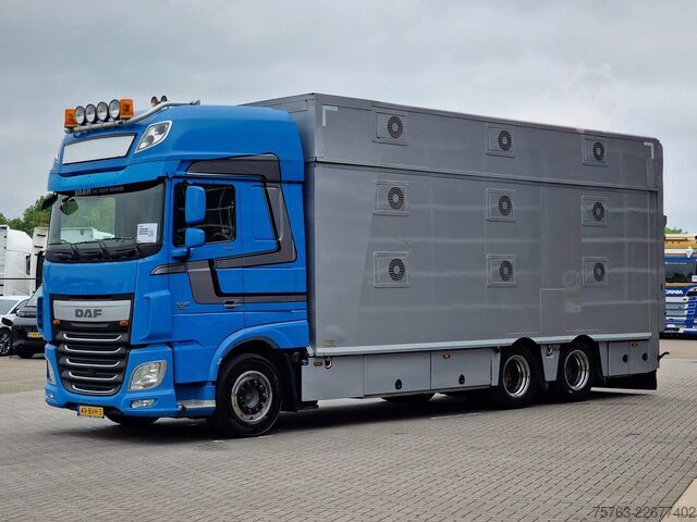 Viehtransport DAF XF 510 6x2 SuperSpaceCab - Livestock Cuppers 3 ...