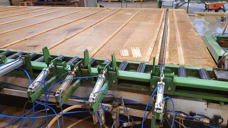 Roller conveyor with rip saw Pinkare 12.0