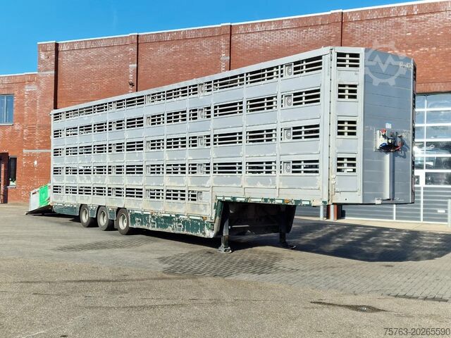 Cattle transport Pezzaioli 5 deck livestock trailer - Water & Ventilation ...