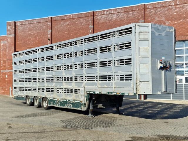 Cattle transport Pezzaioli 5 deck livestock trailer - Water & Ventilation ...