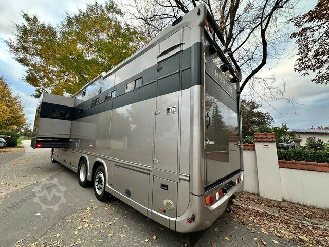 Cattle truck DAF XF 26510 5 Pferde Popout Mega Wohnung Womozul.