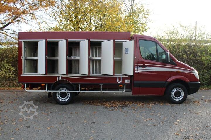 Kühltransporter MERCEDES-BENZ Sprinter 310  Cold Car -33°C