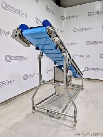 Belt straight conveyor IMMEQUIP Engineering DS-H400-3460