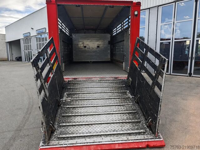 Cattle transport Iveco Eurocargo 150.320 - Finkl Livestock box - Autom...