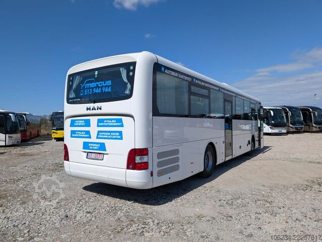 Bus MAN Intercity