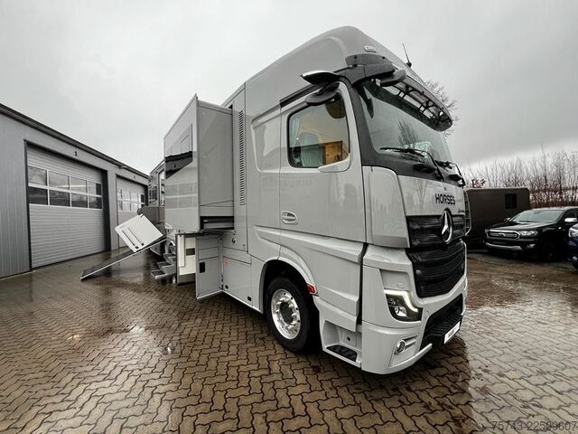 Cattle truck MERCEDES-BENZ 2651 STX 5 Pferde DOP. POP-OUT+POP-UP  EXKLUSIVE