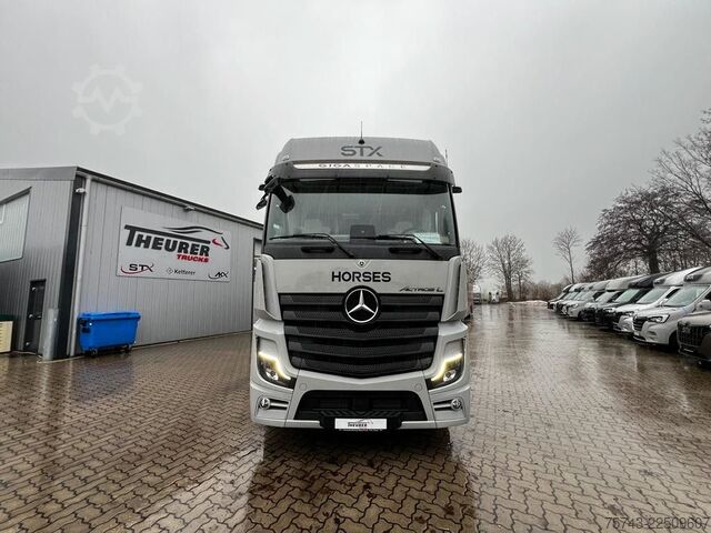 Cattle truck MERCEDES-BENZ 2651 STX 5 Pferde DOP. POP-OUT+POP-UP  EXKLUSIVE