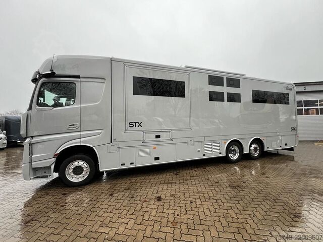 Cattle truck MERCEDES-BENZ 2651 STX 5 Pferde DOP. POP-OUT+POP-UP  EXKLUSIVE