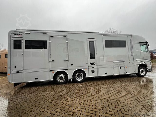 Cattle truck MERCEDES-BENZ 2651 STX 5 Pferde DOP. POP-OUT+POP-UP  EXKLUSIVE