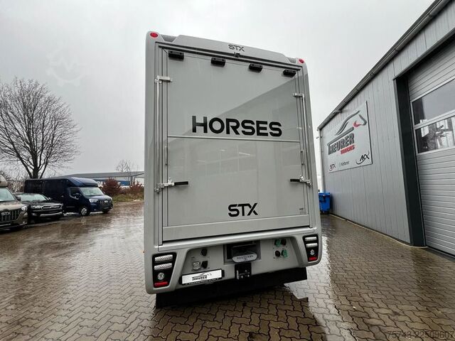 Cattle truck MERCEDES-BENZ 2651 STX 5 Pferde DOP. POP-OUT+POP-UP  EXKLUSIVE