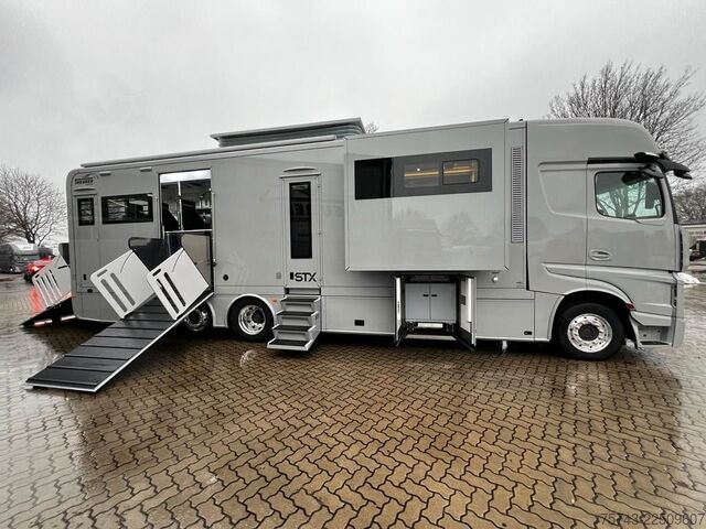 Cattle truck MERCEDES-BENZ 2651 STX 5 Pferde DOP. POP-OUT+POP-UP  EXKLUSIVE