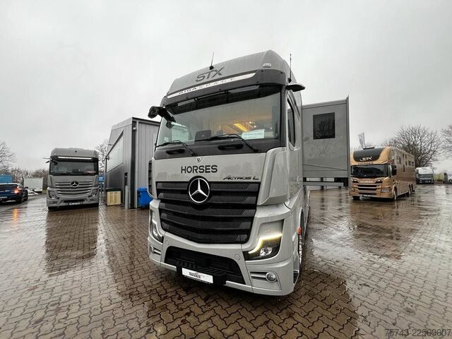 Cattle truck MERCEDES-BENZ 2651 STX 5 Pferde DOP. POP-OUT+POP-UP  EXKLUSIVE