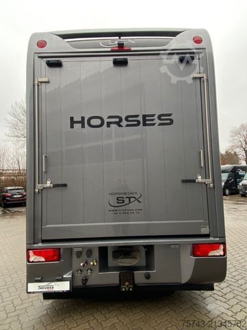Cattle truck MERCEDES-BENZ Actros 2651 STX  Pop-Out,  5 Pferde