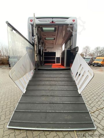 Cattle truck MERCEDES-BENZ Actros 2651 STX  Pop-Out,  5 Pferde