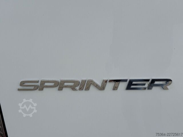 Kleinbus MERCEDES-BENZ Sprinter 317 BlueTEC Lang 2 x Schiebetür Klima
