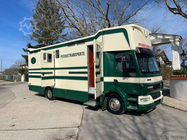 Cattle truck DAF LF 55250 Niehoffaufbau 6 Pferde