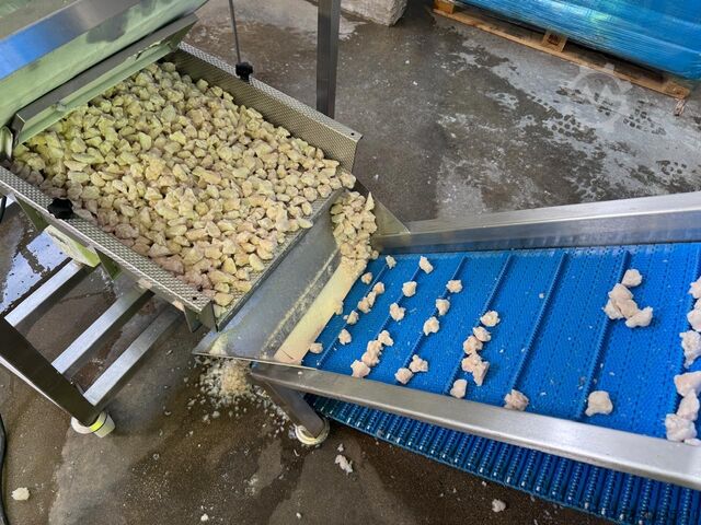 Paniermaschinen GEA Koppens 600mm breading line