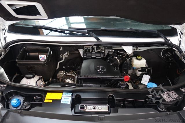 Minibus MERCEDES-BENZ Sprinter Tiefkühler -25 C°RWD 317 Tüv Neu Klima