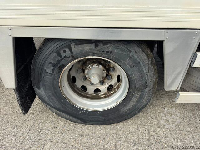 Kühl-/Tiefkühltransport Scania P94-260 **MANUAL PUMP-BELGIAN TRUCK-MEATHOOKS**