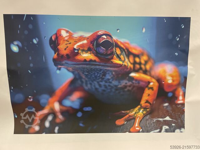 Digitaldruckmaschine HP Latex 560