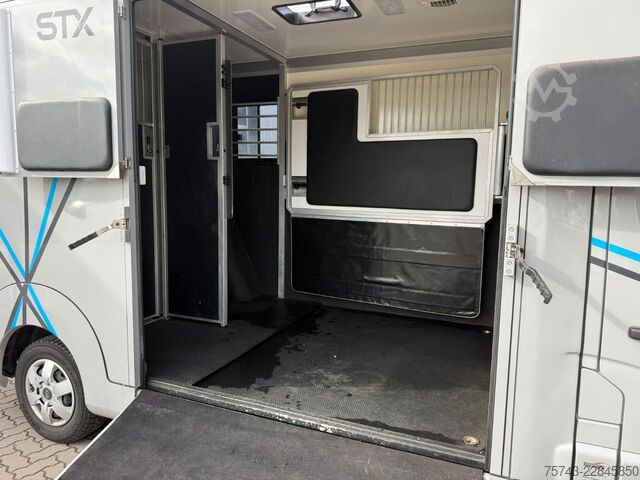 Livestock transporter RENAULT Master STX 3 Sitzer  Haras / Hengste