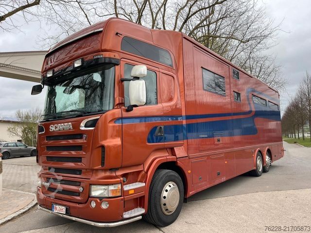 Cattle truck SCANIA Pferdetransporter